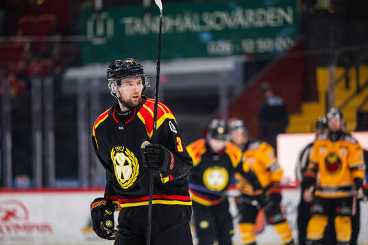 Brynäs Christian Djoos