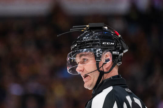 Domare Daniel Eriksson