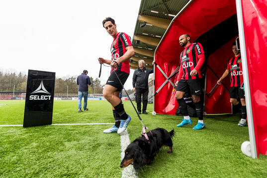 Brommapojkarnas spelare