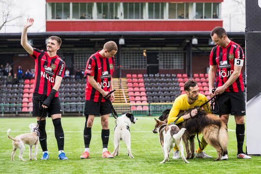 Brommapojkarnas målvakt Davor Blazevic och Even Hovland