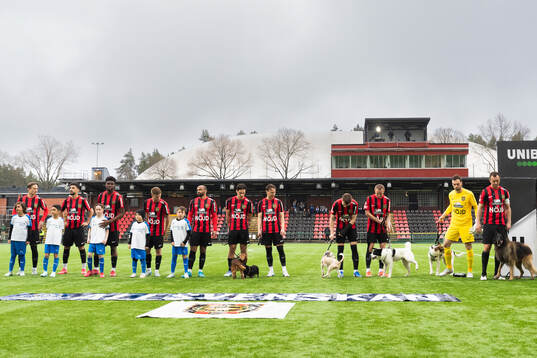 Brommapojkarnas spelare ställer upp