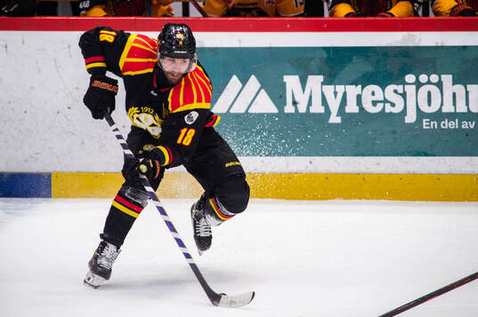 Brynäs Anton Rödin