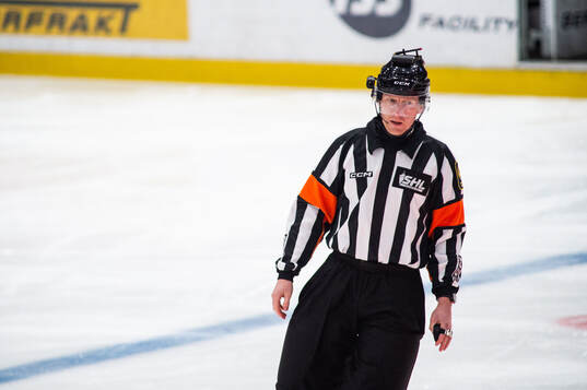 Domare Mikael Holm