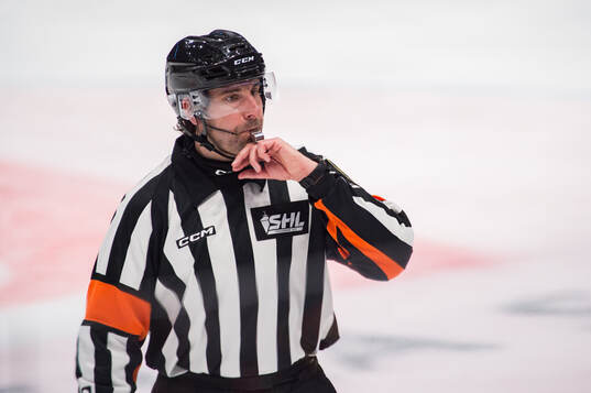 Domare Mikael Sjöqvist