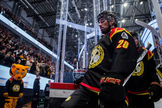 Brynäs Tyler Vesel deppar