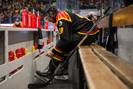 Brynäs Tyler Vesel