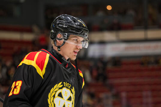 Brynäs Theo Lindstein