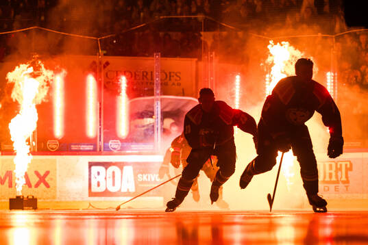 Brynäs spelare
