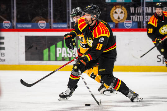 Brynäs Anton Rödin