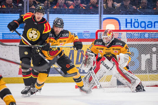 Luleås målvakt Matteus Ward