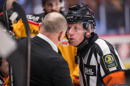 Domare Mikael Holm