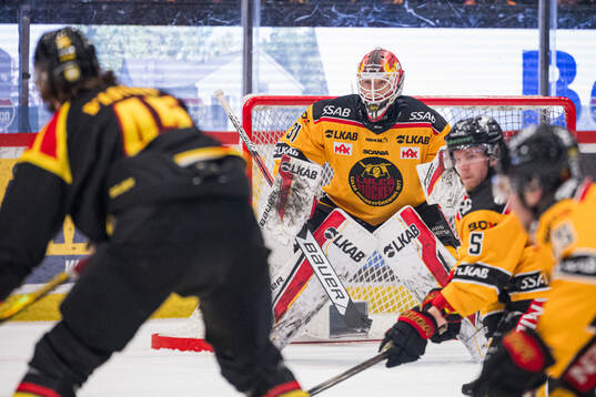Luleås målvakt Matteus Ward