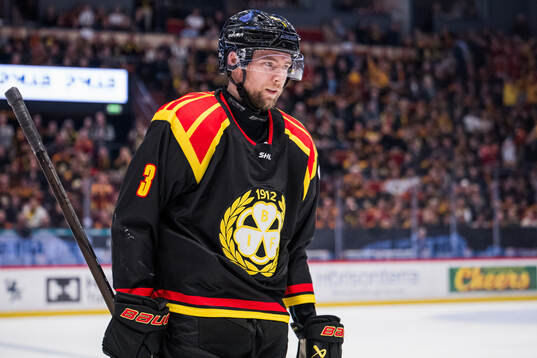 Brynäs Christian Djoos deppar