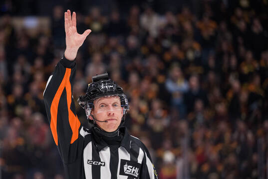 Domare Mikael Holm