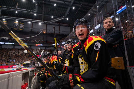 Brynäs Theo Lindstein