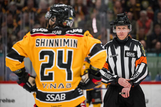 Domare Mikael Holm