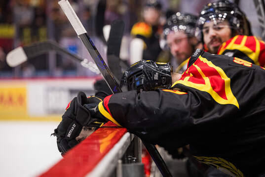 Brynäs Greg Scott deppar