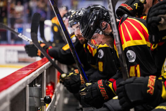 Brynäs Greg Scott deppar