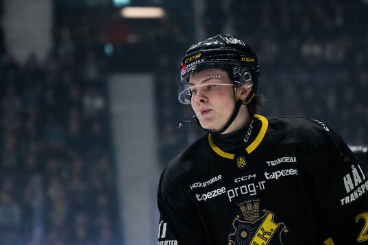 AIKs Theo Hårdstam