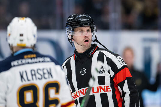 Domare Johan Magnusson