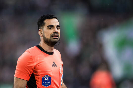 Domare Mohammed Al-Hakim