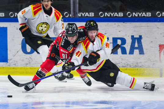 Luleås Brian O'neil och Brynäs Greg Scott
