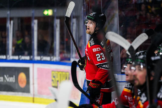Luleås Jesper Sellgren deppar