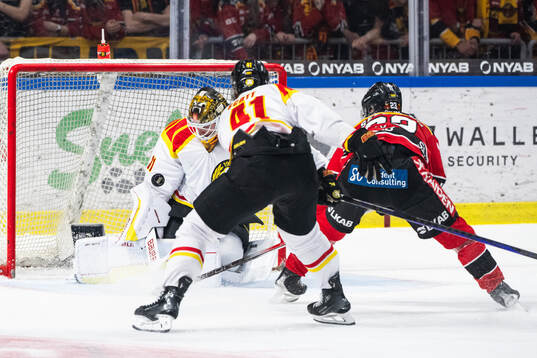 Brynäs målvakt Erik Källgren