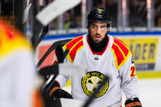 Brynäs Tyler Vesel deppar