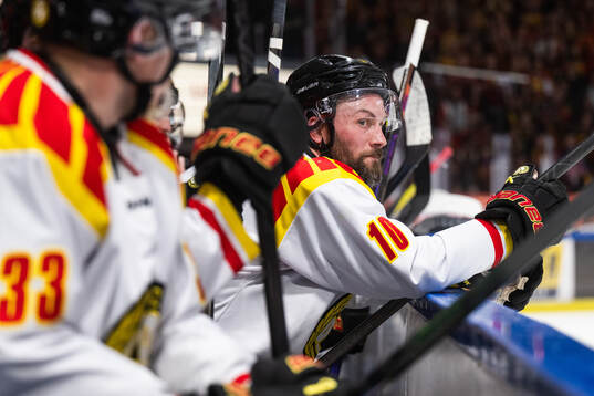Brynäs Johan Larsson