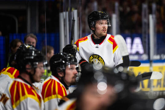 Brynäs Theo Lindstein