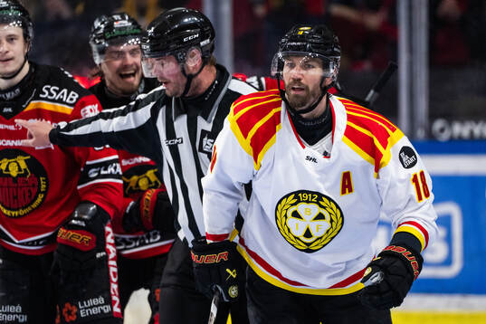 Brynäs Anton Rödin