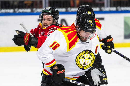 Brynäs Anton Rödin