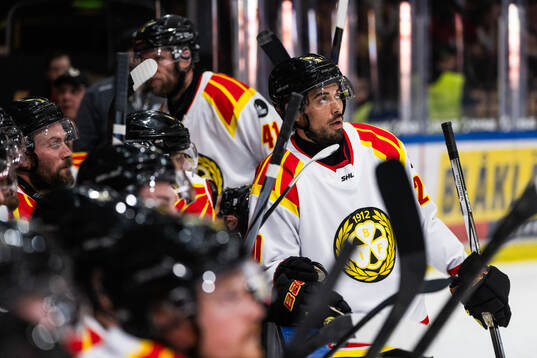 Brynäs Tyler Vesel deppar