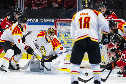 Brynäs målvakt Erik Källgren