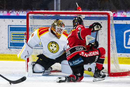 Brynäs målvakt Erik Källgren