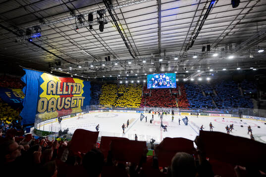 Djurgårdens supportrar med ett tifo