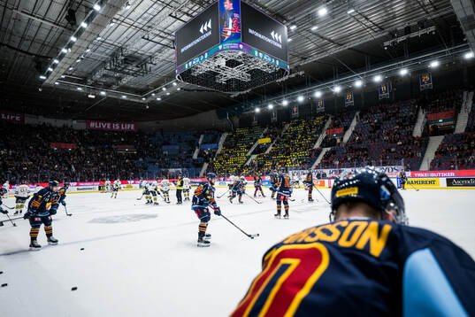 Hovet