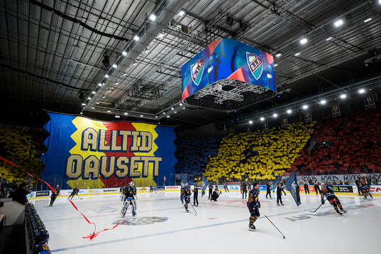 Djurgårdens spelare gör entre och supportrarna har ett