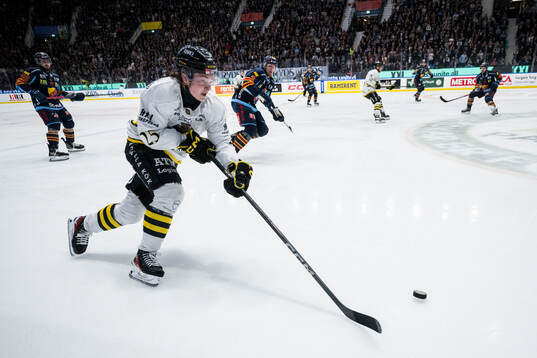 AIKs Theo Hårdstam