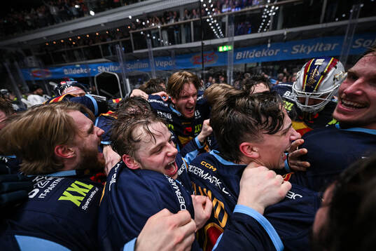 Djurgårdens spelare jublar