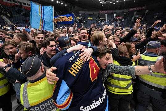 Djurgårdens Edvin Hammarlund jublar med supportrar
