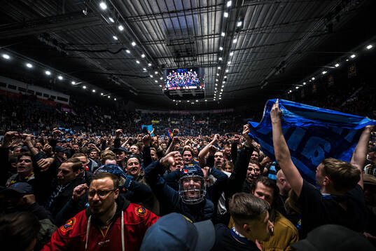 Djurgårdens supportrar jublar