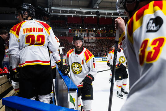 Brynäs Johan Larsson