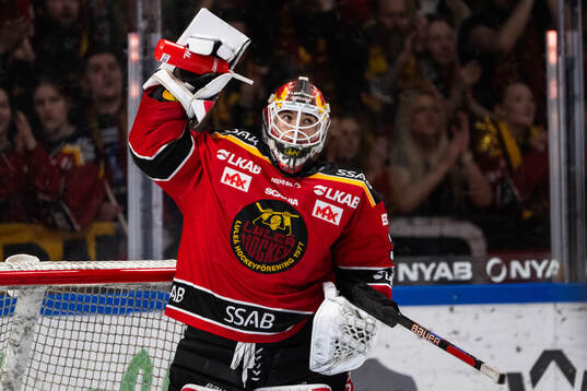 Luleås målvakt Matteus Ward