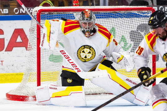 Brynäs målvakt Ludvig Persson