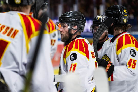 Brynäs Greg Scott