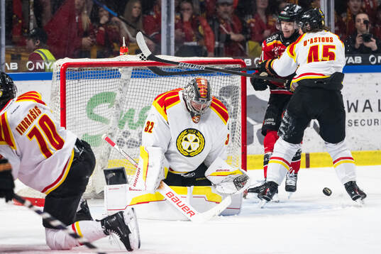 Brynäs målvakt Ludvig Persson