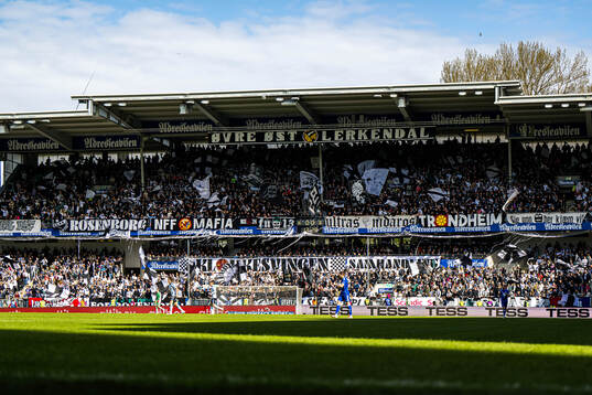 Spectators in the stands