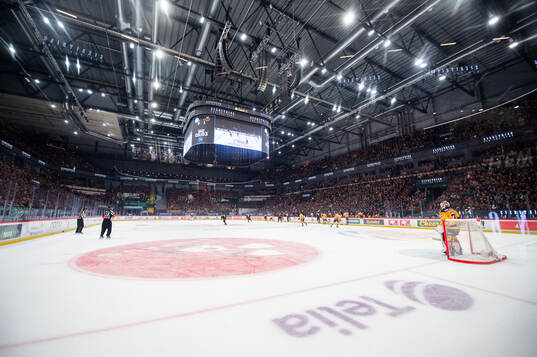 Monitor ERP Arena